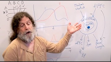 24-Violence and Its Antidotes II - Robert Sapolsky