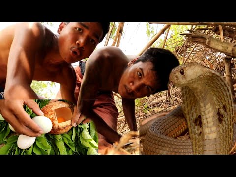 #Primitivetechnologyhul Primitive technology Boy steals snake eggs to cook