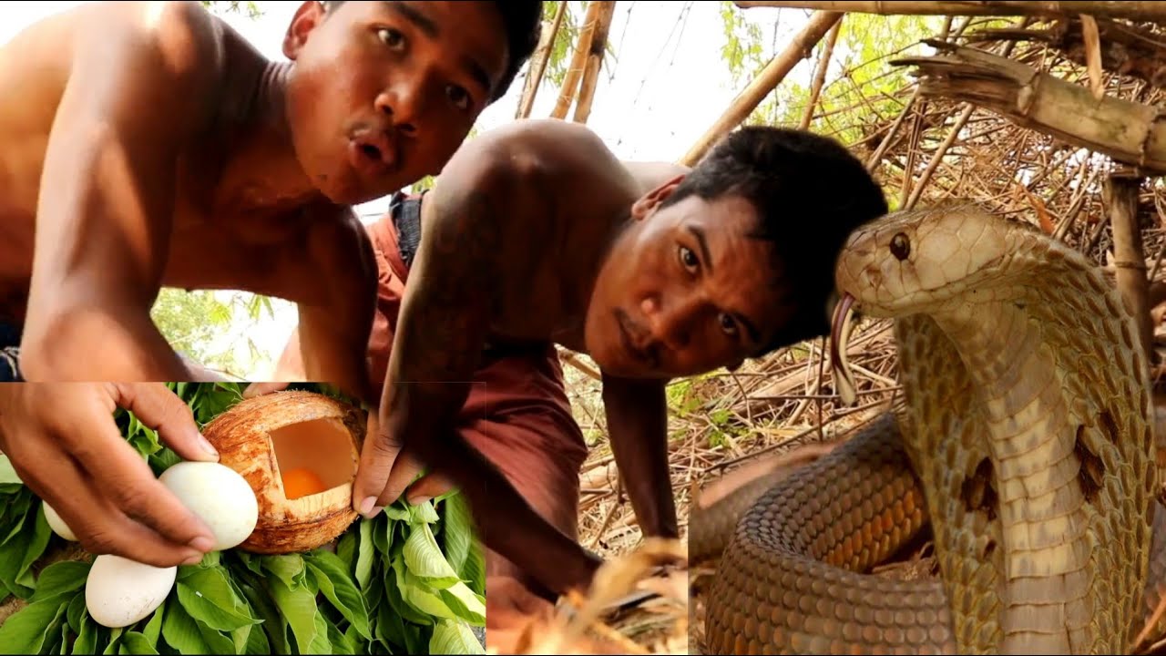 #Primitivetechnologyhul