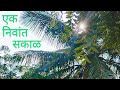 माहेरची सकाळ: एक शांत अनुभव 🌄