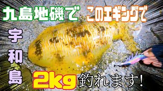 【春エギング】まっさんの地磯での春イカレクチャーIN宇和島