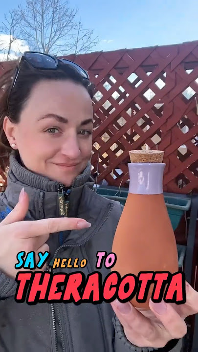 The Best Self-Watering Hack for Plants! 🌿💧 (Terracotta Olla Pots)