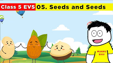 Class 5 Evs chapter 5 - Seeds and Seeds | Class 5 Evs | seeds and seeds