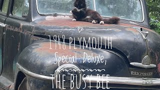 1948 Plymouth Special Deluxe can we rescue this old girl we call the Busy Bee