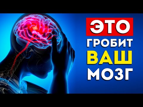 Мозг: 3 самых вредных и 4 самых полезных продукта