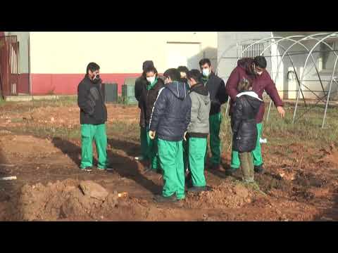 Proyecto Invernadero 2.0. IES Gregorio Prieto Noticia Informativos 01/12/2020