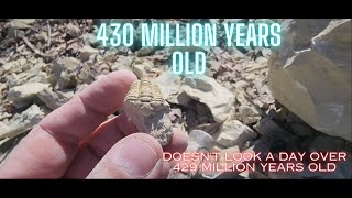 Trilobite Hunting Along The River