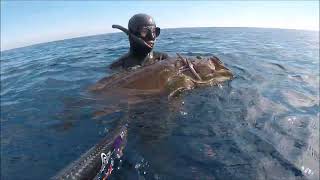 Mirko Musacchio  only Groupers