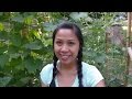Fall and Winter Garden Plans, Pacific Northwest Garden Mom Fall and Winter Garden Plans, Pacific Northwest Garden Mom