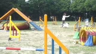 20120601　お教室　サーペンタイン１