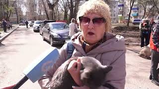 В Комсомольске началась выездная вакцинация против бешенства