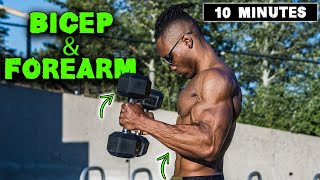 10 MINUTE LIGHTWEIGHT DUMBBELL BICEP & FOREARM WORKOUT! screenshot 4