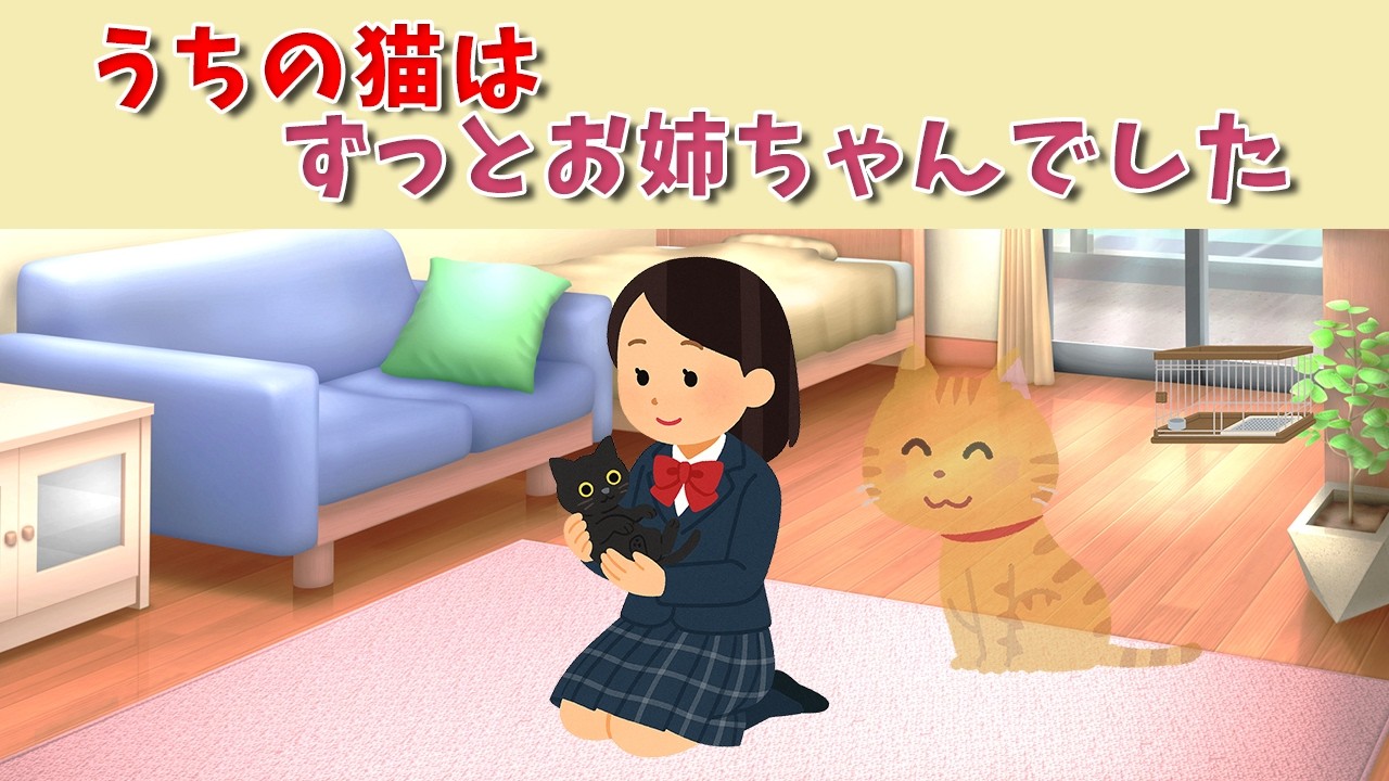 うちの猫は、ずっとお姉ちゃんでした　#猫のお姉ちゃん #保護猫 #猫との暮らし