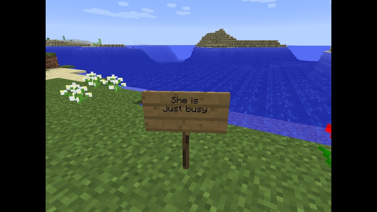 Streaming Minecraft until she Texts Me Back