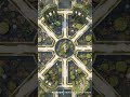 D&D | Queen's Garden Part 5 Grid | Animated Battle Maps
