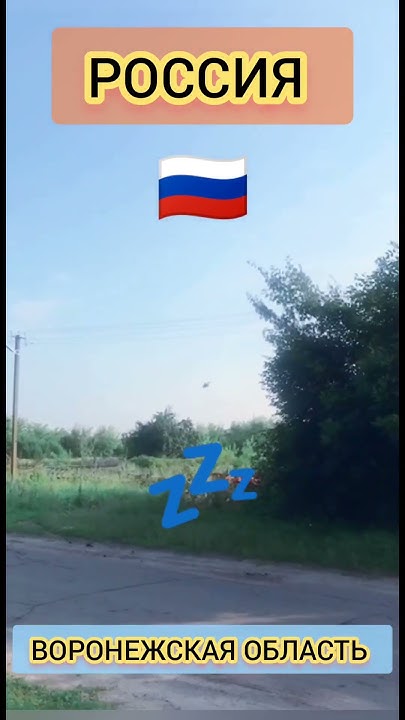 В #Воронежской области #вертолеты Министерства Обороны рф пытаются бить ...