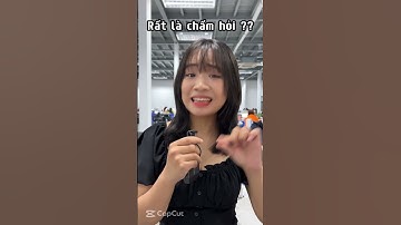 Chat GPT có gì thú vị dữ ??!! | Thế Giới Laptop #shorts