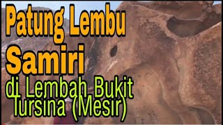 Patung Lembu Samiri di Lembah Bukit Tursina Mesir