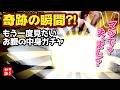 【白子ガチャ】奇跡の瞬間？！もう一度見たいお腹の中身ガチャ