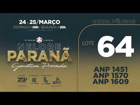 LOTE   64 ANP 1451 ANP 1570 ANP 1609