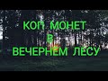 Коп монет в вечернем лесу