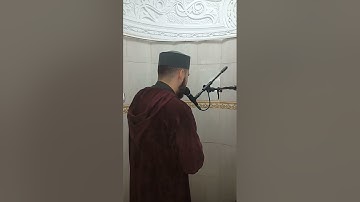 [ #سورة_فصلت  الآية 19 ]القارئ  ياسين براكني من مسجد عمر بن عبد العزيز #البليدة 🇩🇿