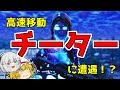 【フォートナイト】訳の分からないチーターと遭遇しましたっ☆【ゆっくり実況/Fortnite】建築上手のゆっくり達version25