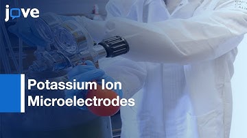 Potassium Ion Microelectrodes Application in Tissue Slices of Brain | Protocol Preview