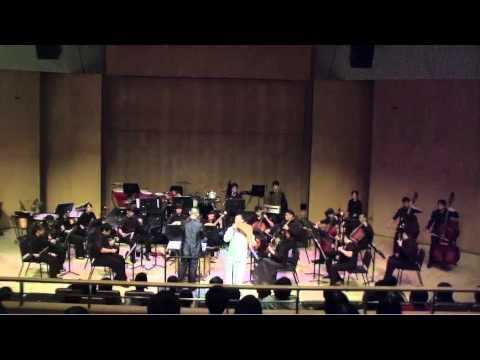 Republic Polytechnic Chinese Orchestra '' Diversit...