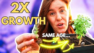 YOU Can Rapidly Increase Seedling Plant Growth ASAP!