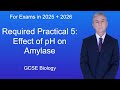 GCSE Biology Revision "Required Practical 5: Effect of pH on Amylase"