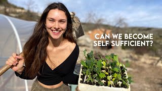 LIVING OFFGRID in the MOUNTAINS | Abandoned land to selfsufficient homestead | Making a polytunnel