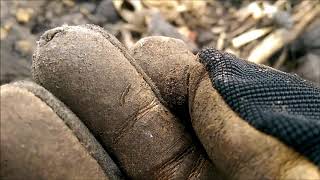Metal Detecting a Field and Two-Tone Ferrous(TTF) Tutorial