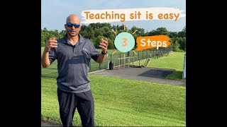 Luring or Capturing a Sit Easy way to train Sit