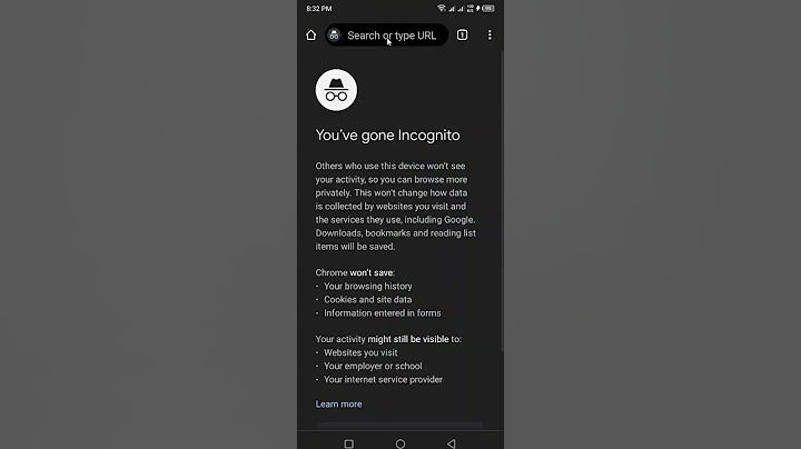 see incognito history chrome