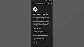 See Incognito History Chrome 