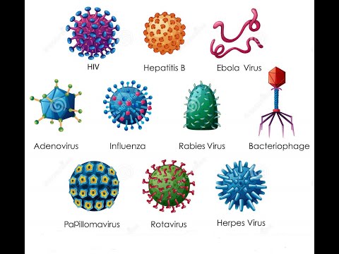 k&g:-que-son-los-virus?-coronavirus-covid-19-y-su-prevencion.