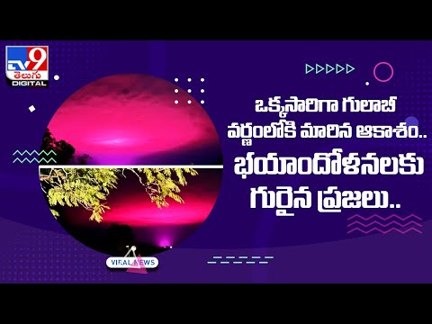 Viral : ఒక్కసారిగా గులాబీ వర్ణంలోకి మారిన ఆకాశం.. భయాందోళనలకు గురైన ప్రజలు.. @TV9 Telugu Digital