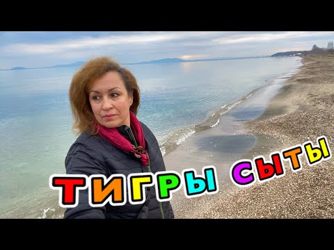 31 декабря НАШ