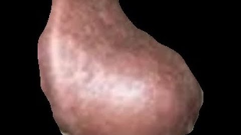 CS2 FUNNY GRIEFING COMPILATION #30