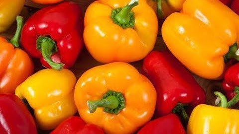 9 lợi ích đáng kinh ngạc của quả ớt chuông mang lại cho sức khỏe