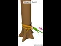 Wrap Three Pull Two