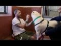 Tom Hardy Playing with Dogs at a Dog Rescue