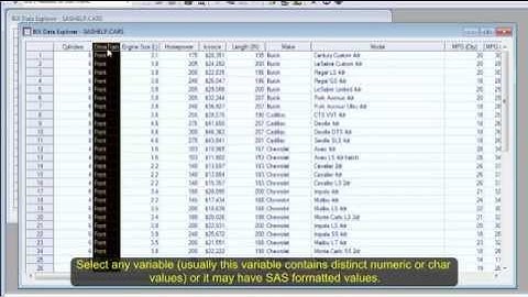 BiX - Business intelligence eXplorer for SAS users-Visual Analytics