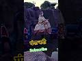 गंगा नदी #vrindavan #viral #trending