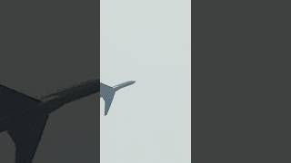 Spotted the Bombardier Global 7500 from RCF Performance southbound from Seletar
