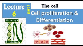 6a- Cell proliferation and stem cells-cell-Histology screenshot 5