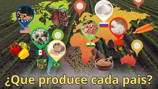 The 10 countries that feed the world. Top agricultural exporting countries in the world