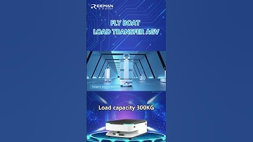 REEMAN Fly Boat Load Transfer AMR&AGV