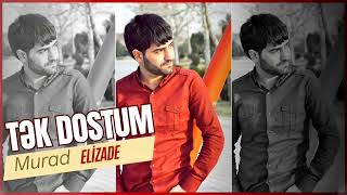 Murad Elizade - Tek Dostum (2023)